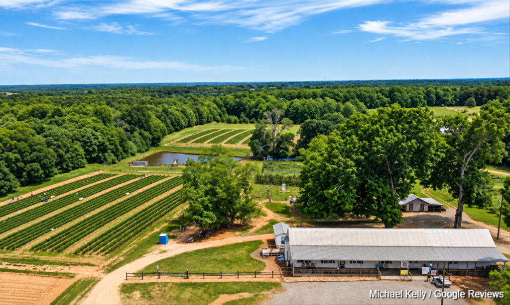 Aerial view of Callaham Orchards farmland, crop rows and farm buildings in Belton, South Carolina