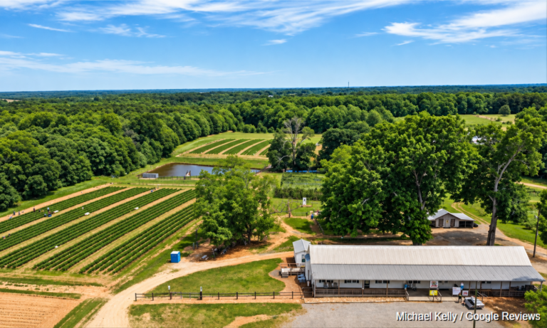 Aerial view of Callaham Orchards farmland, crop rows and farm buildings in Belton, South Carolina