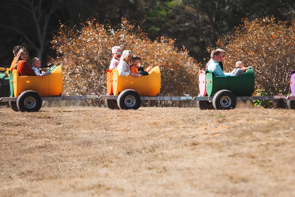 Children and parents riding the barrel train during Fall Family Fun at Callaham Orchards