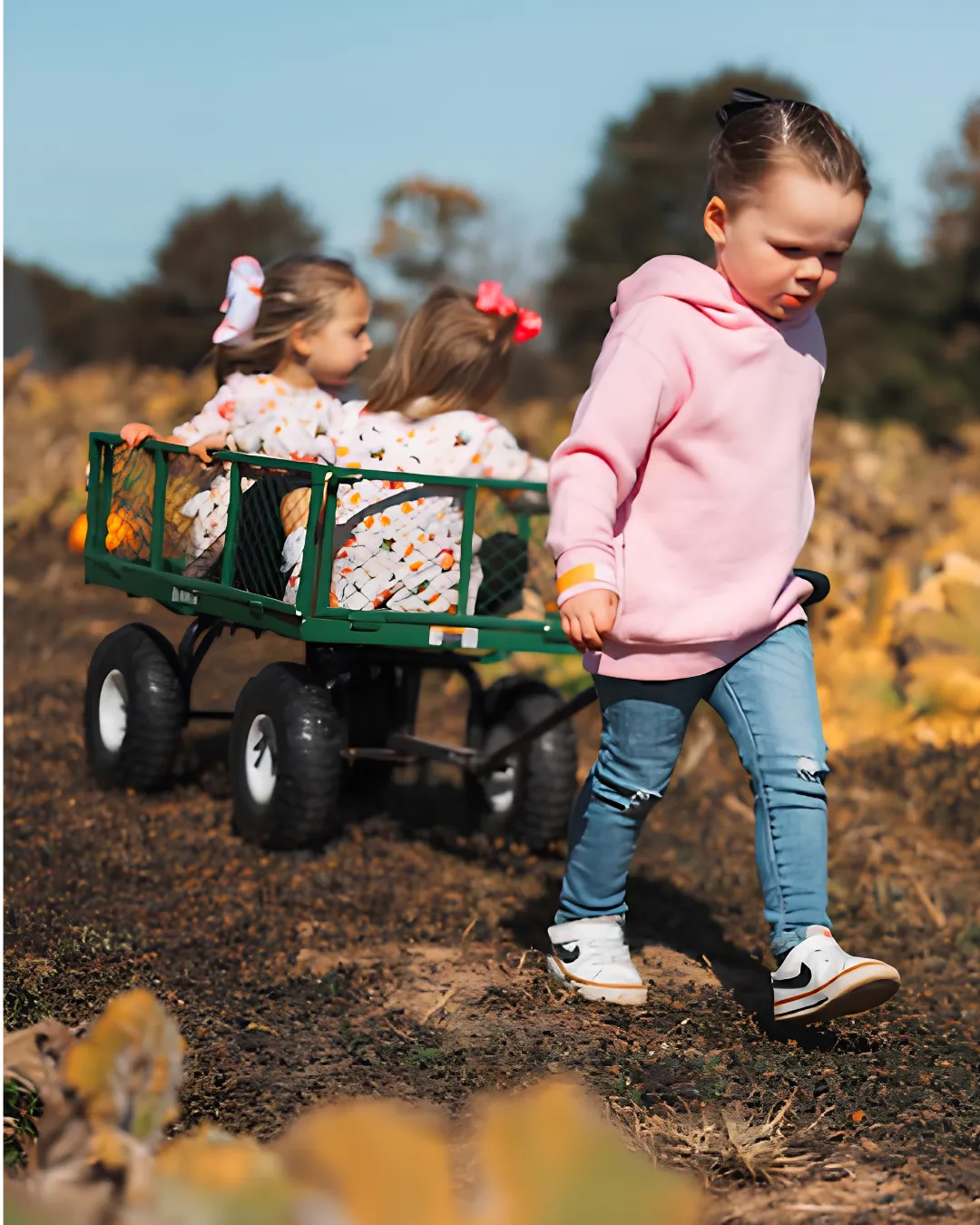 Children pulling a wagon through the pumpkin patch at Callaham Orchards