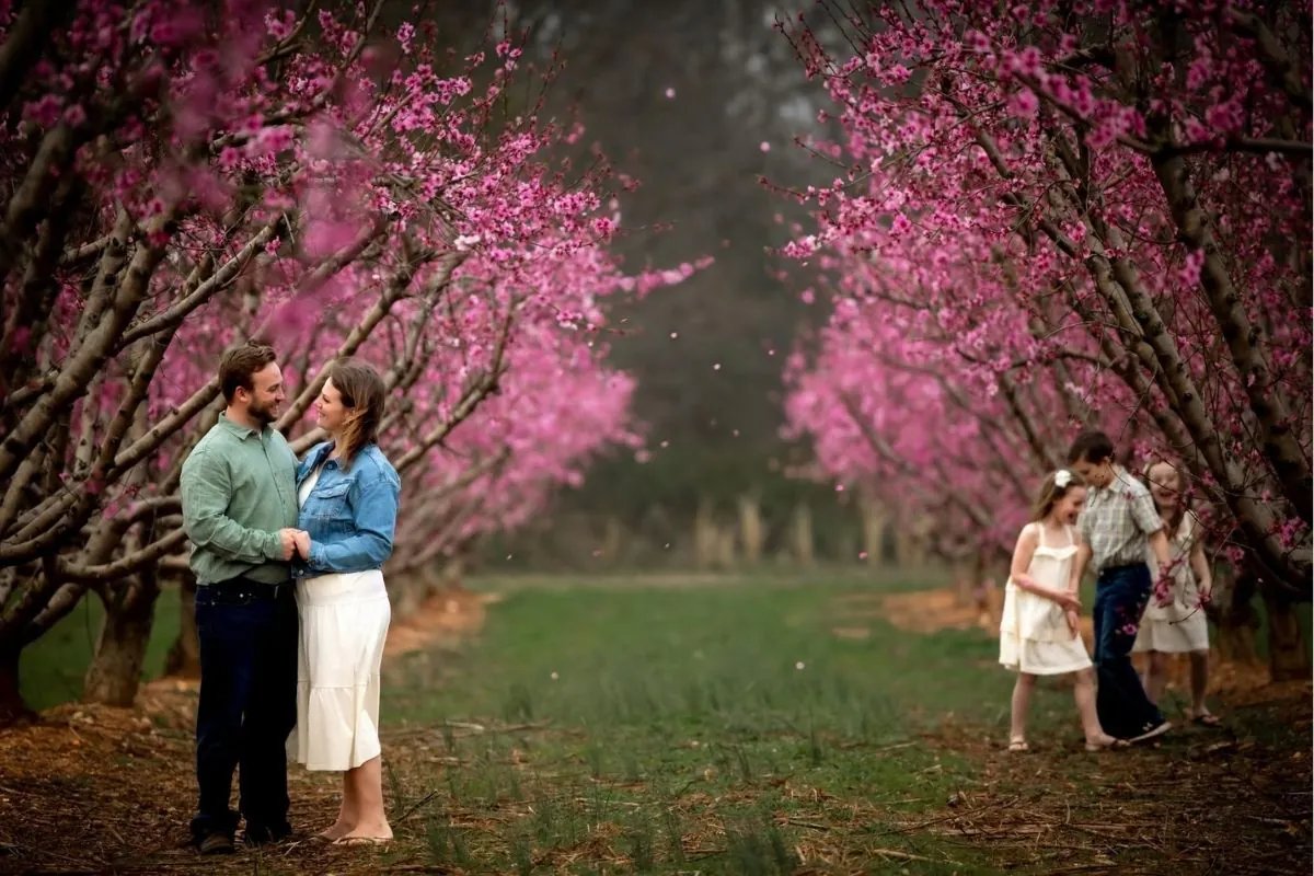 Family portrait session among blooming peach trees at Callaham Orchards