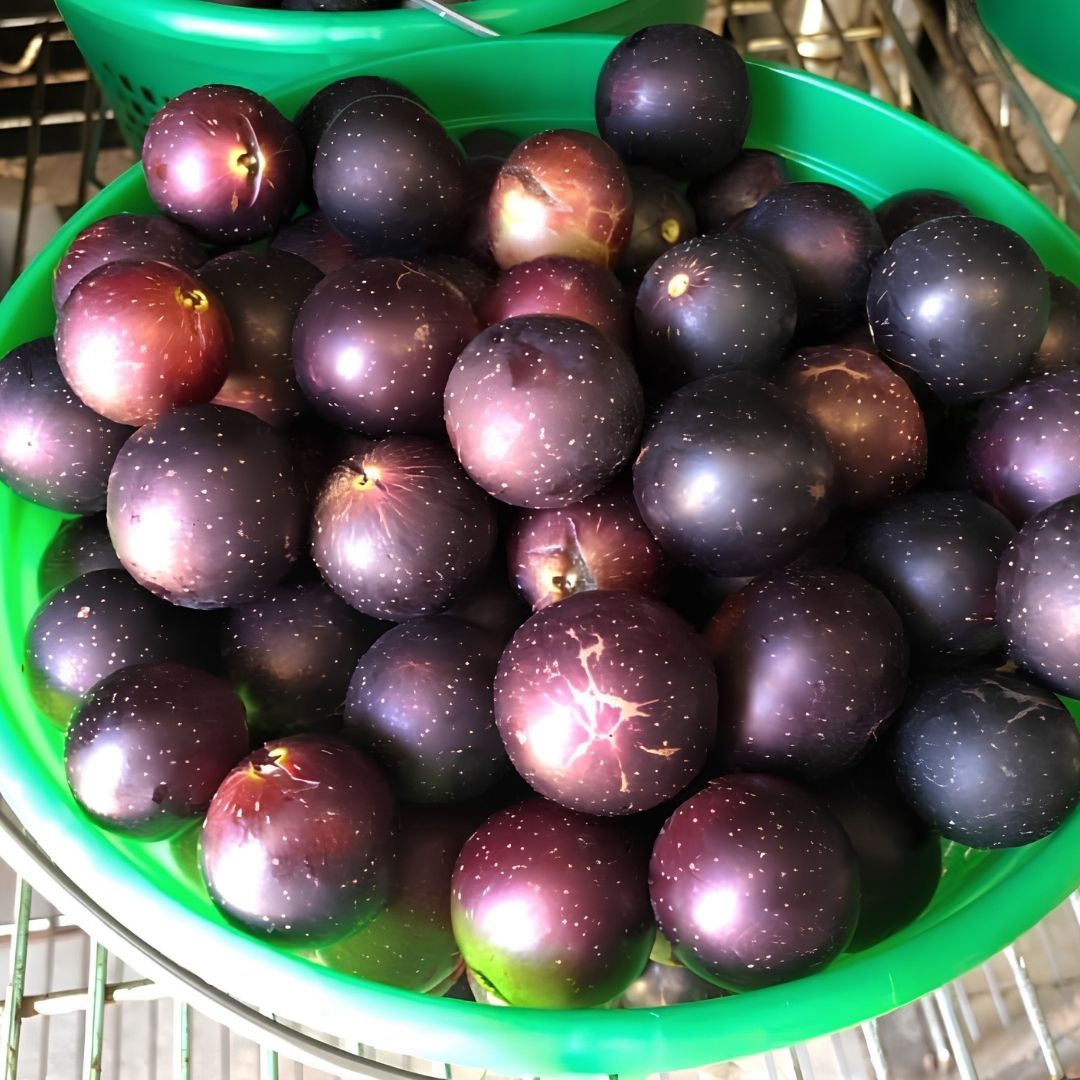 Muscadines at Callaham Orchards