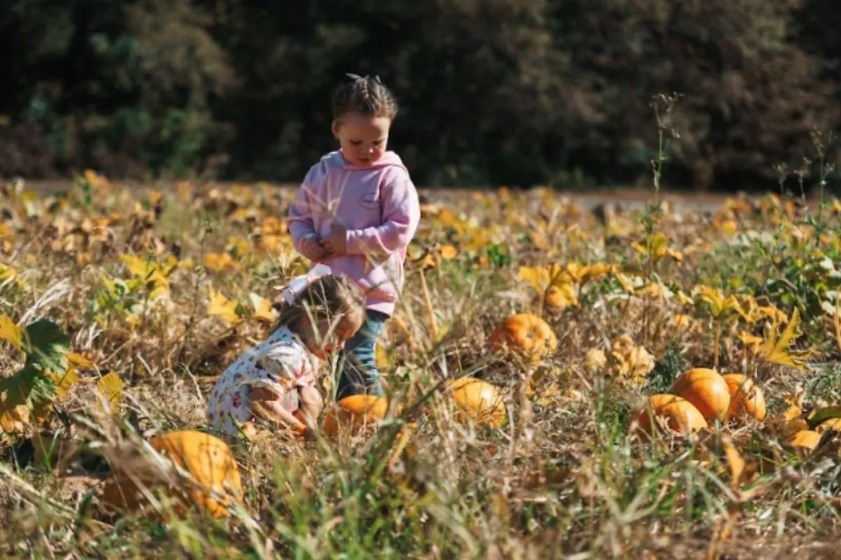 Students learning about pumpkins during a fall field trip