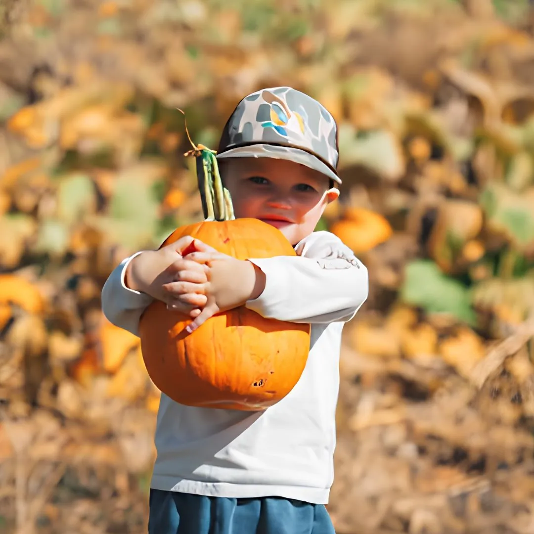 Pumpkins for sale in the pumpkin patch at Callaham Orchards