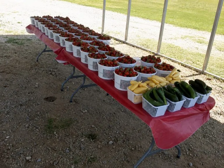Hwy 81 Produce Stand in Anderson, SC